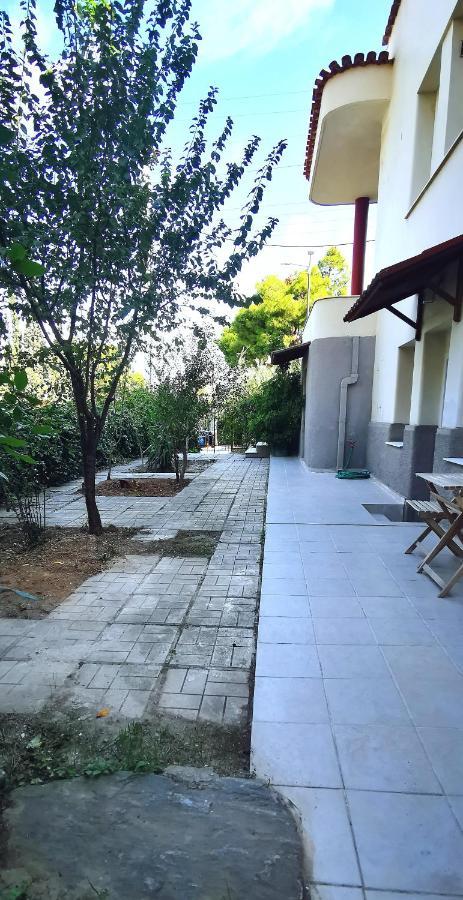Amazon Spacious 3Bedroom Premium Neighbourhood เอเธนส์ ภายนอก รูปภาพ